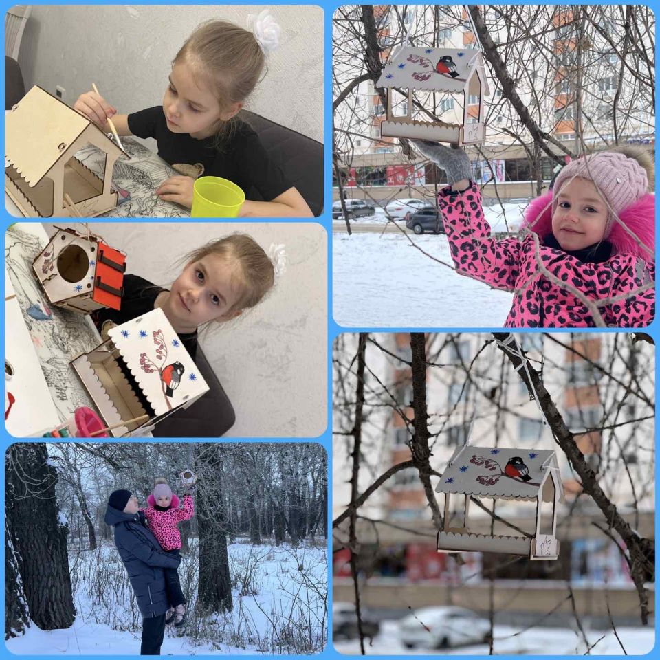 "Столовая для птиц"