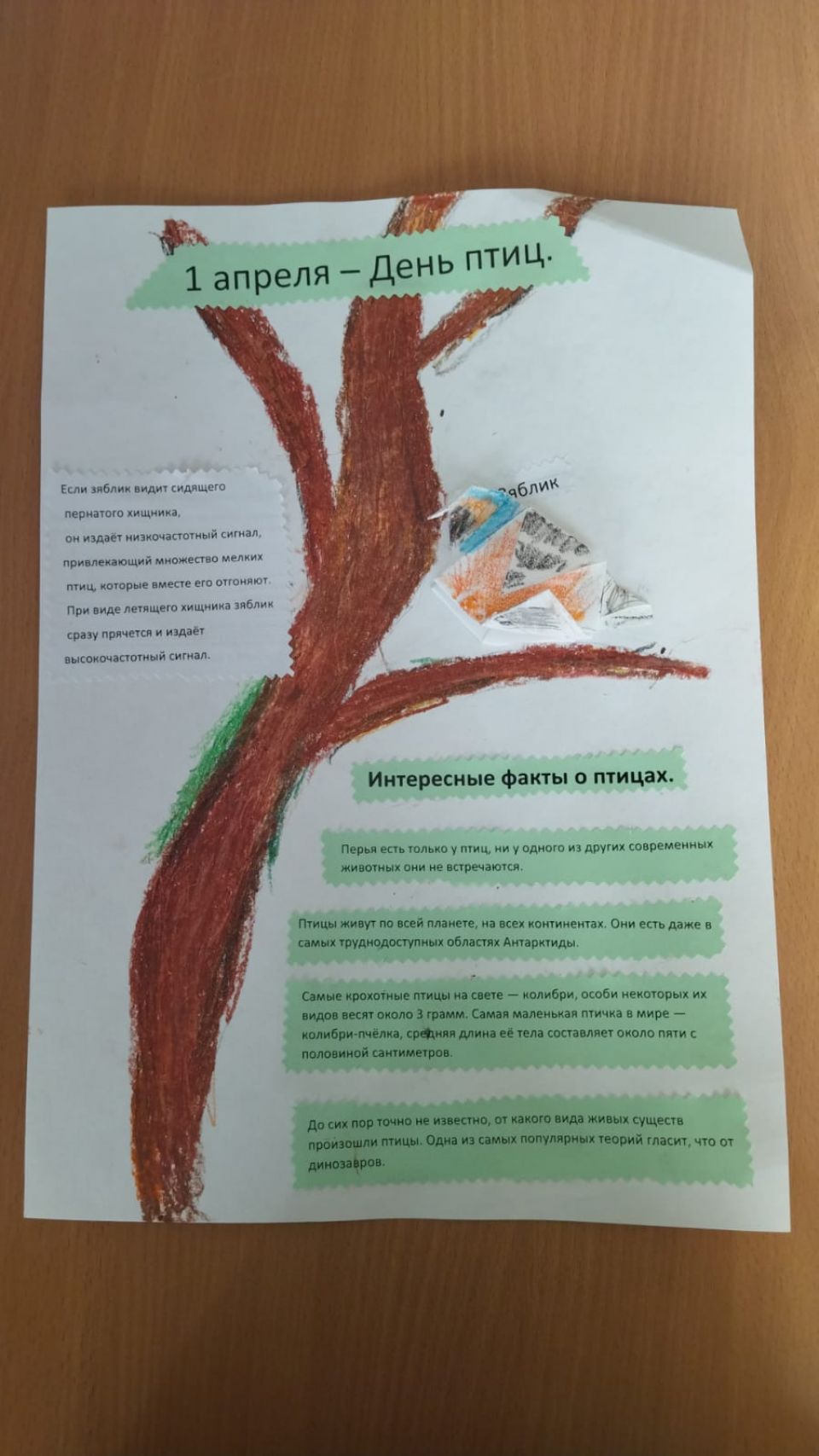 1 апреля - День птиц.