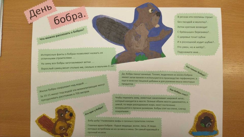 День бобра.