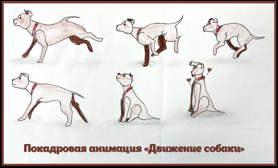 Покадровая анимация "Движение собаки"