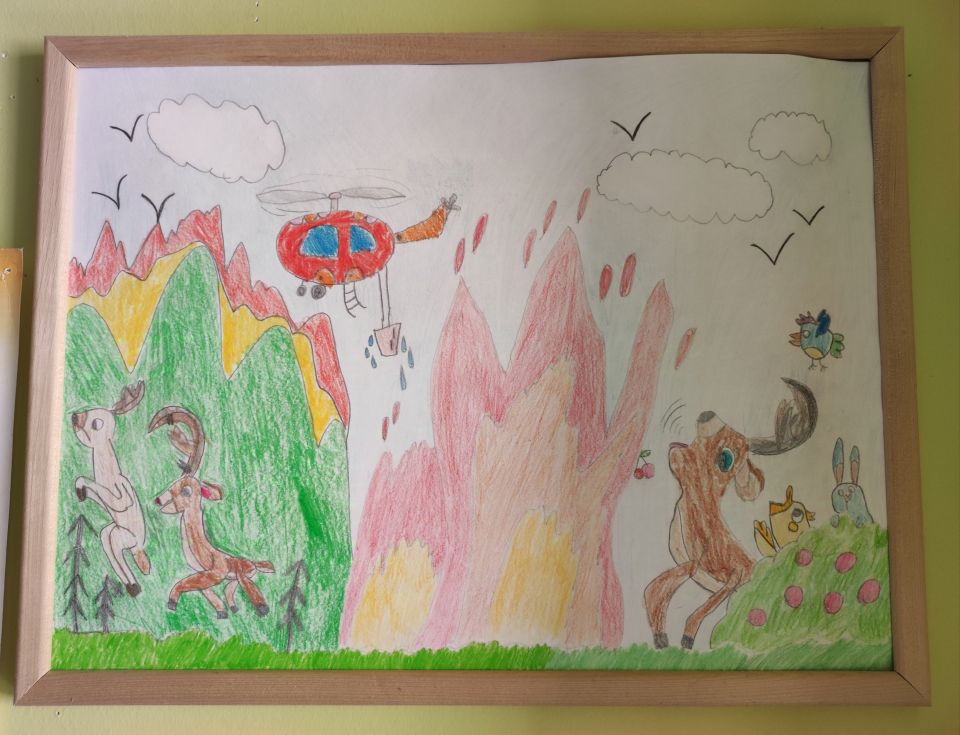 Берегите лес!