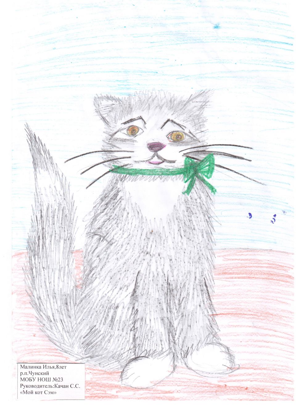 Мой кот Сэм
