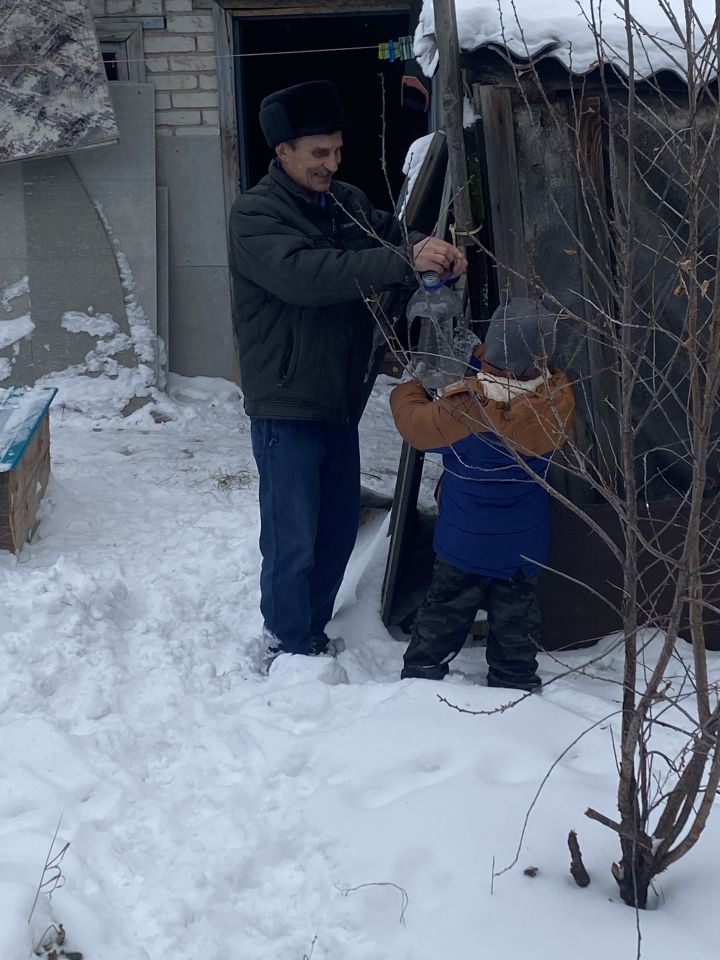 Покормите птиц зимой