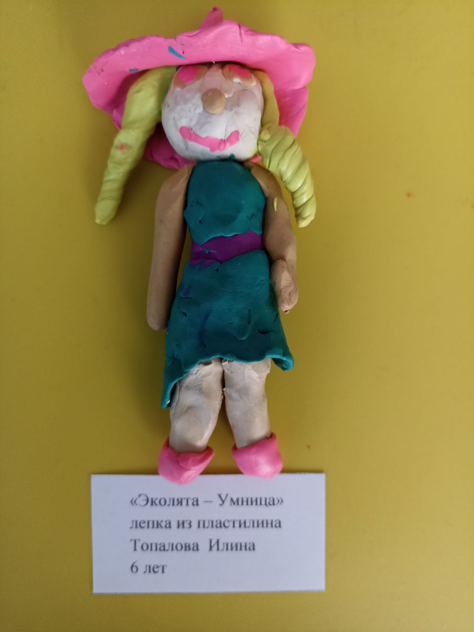 "Эколята  - Умница"