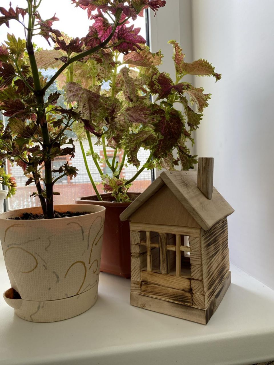 "Лесной домик".