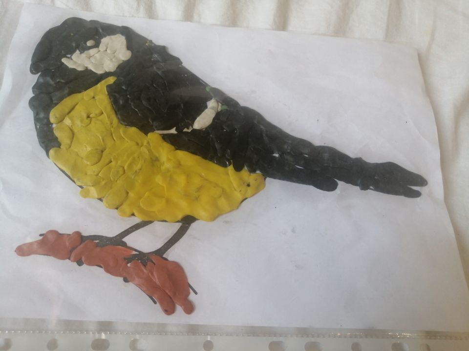 Птичка синичка