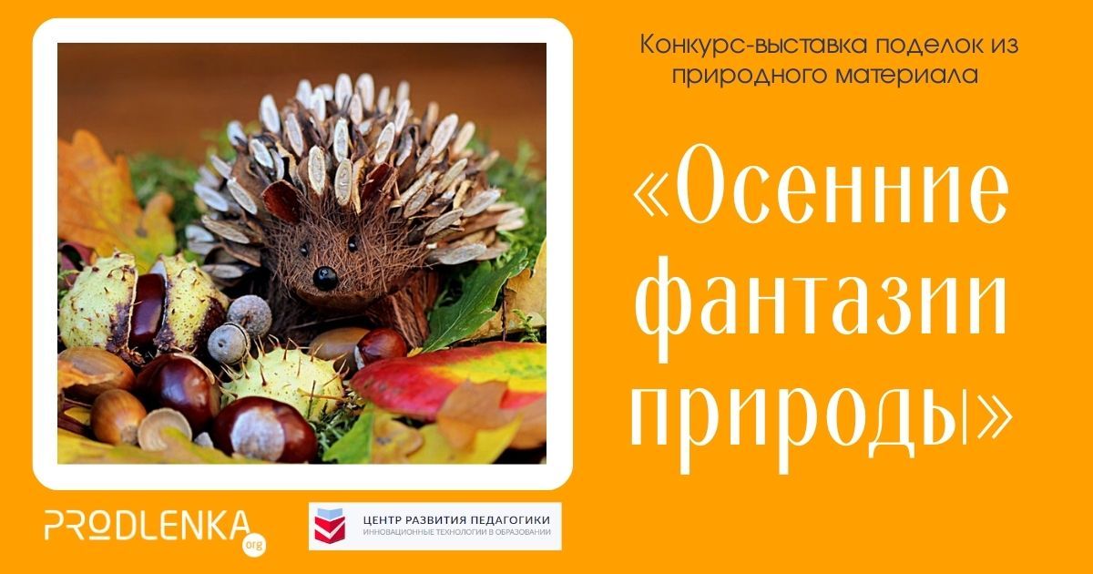 Всероссийский детско-юношеский конкурс-выставка поделок из природного материала «Осенние фантазии природы»