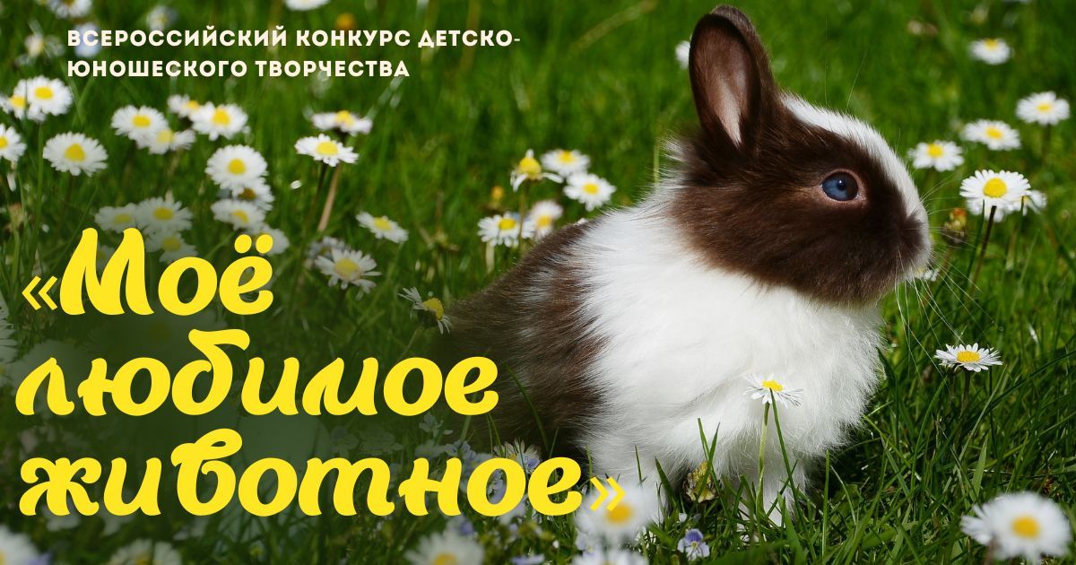 Всероссийский конкурс детско-юношеского творчества «Моё любимое животное»