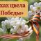 Всероссийский конкурс выразительного чтения, посвящённый 80 годовщине Победы в Великой Отечественной войне «В стихах цвела весна Победы…»