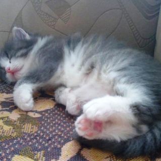 И пусть, весь мир - подождёт