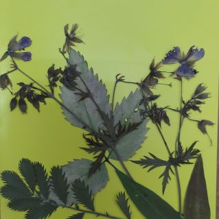 Открытка "С Днём учителя!