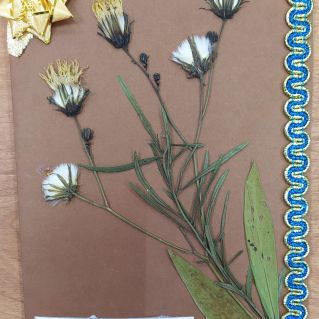 Открытка "С Днём учителя!