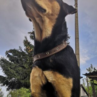 В ожиданиии