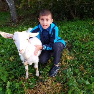 "Мы с козленочком вдвоем замечательно живем!"