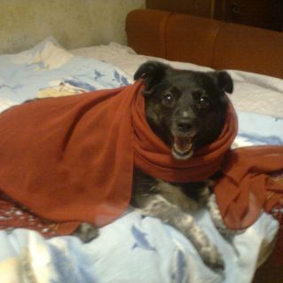 " Я-красотка!"