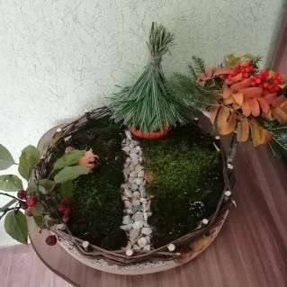 Осень в лесу