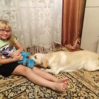 «Мой ласковый и нежный друг»