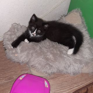 Мой любимый Кампот