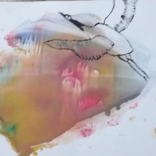 "Гадкий утенок"