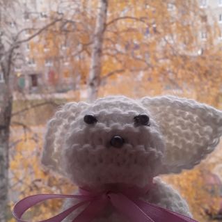 Мой друг - Кролик