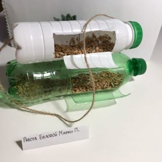 Столовая пернатых