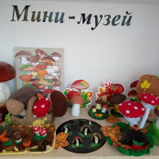 Мини-музей грибов.
Куратор - Курникова Елизавета Геннадьевна