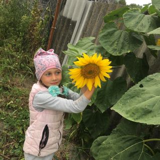 Урожай небывалой красоты