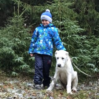 "Любимый друг"