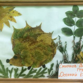 Осенний ежик