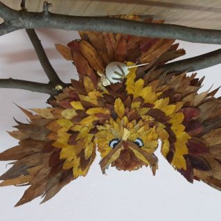 "Совушка-сова большая голова"