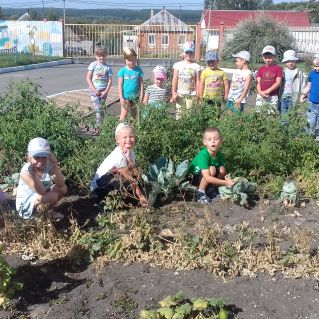 Вырастили сами.