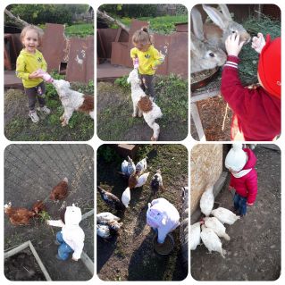 "Мои любимые питомцы"