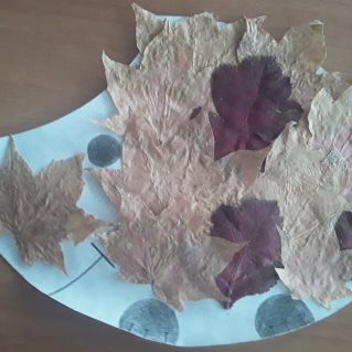 Осенние мотивы