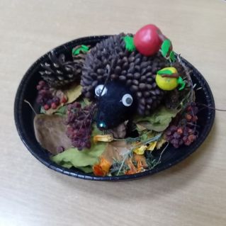 Ёжик путешественник