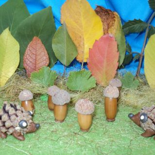 "Грибная полянка для ежат "