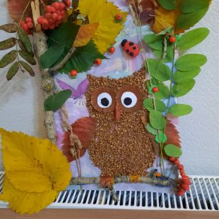 Совенок в осеннем лесу