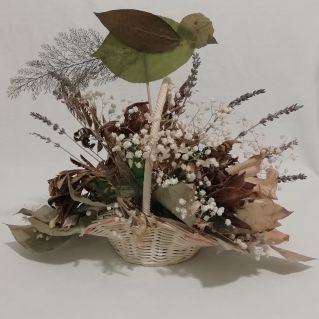 Птичка - невеличка