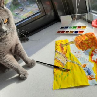 "Я и рисовать умею".  Кот.