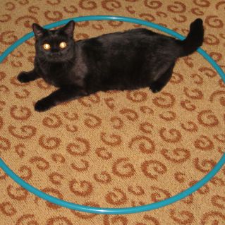 Красавица Мила