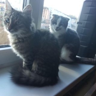 Наши любимые