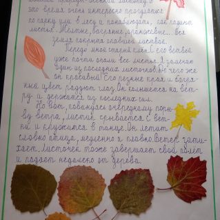 Осенний листопад