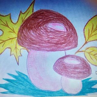 Грибы осенью