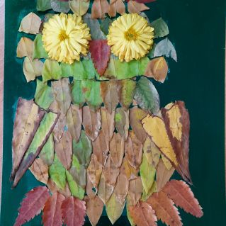 Совушка-сова