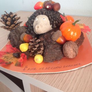 Ёжик на лесной полянке