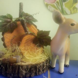 "Тыковки - веселушки"