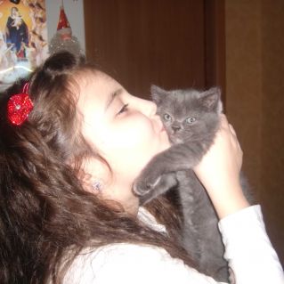 Ох уж, эти нежности!