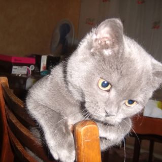 Пора обедать!