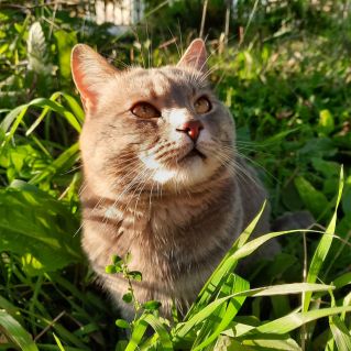 Сам по себе