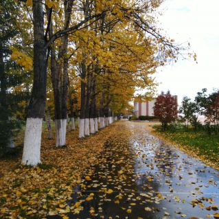 Осень в нашем селе