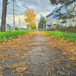 Вот и осень пришла